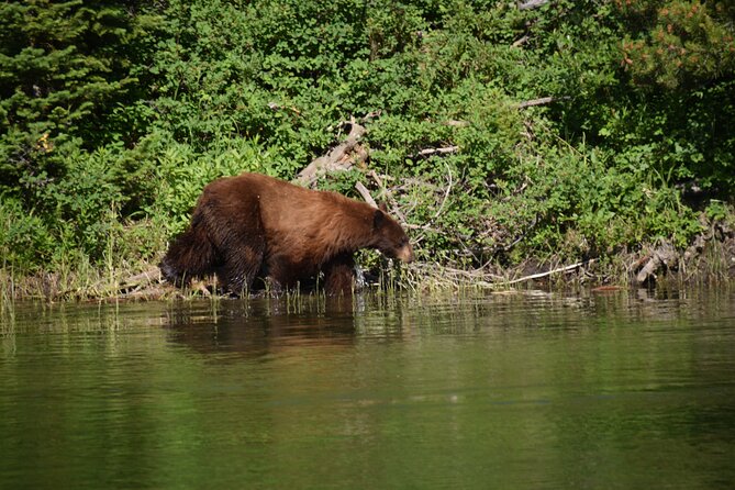 2-Day Yellowstone Tour Lower and Upper Loop Guided Tour - Essential Information