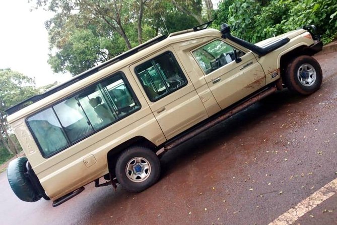 2 Days Mid Range Safari in Ngorongoro and Tarangire Big 5 Parks - Wildlife Experiences