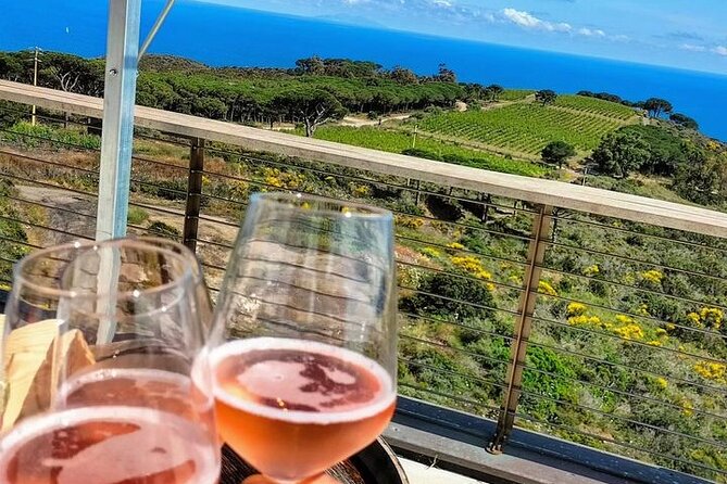 2-Hour E-Bike Tour With Wine Tasting in Tenuta Delle Ripalte - Wine Tasting at Tenuta Delle Ripalte