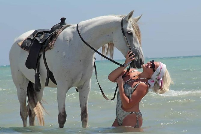 2-Hour Horse Riding Adventure on The Sea and Desert in Hurghada - Riding Along the Seaside