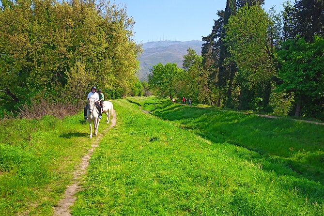 2 Hour Horseback Ride for Experts in Valgraziosa (Pisa) - The Sum Up