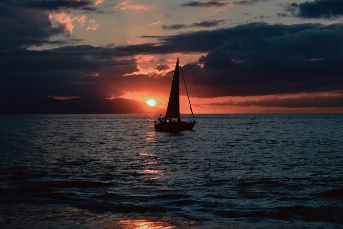 2-Hour Sailboat Watching Dolphins Along the Coast of Sotogrande - What to Expect on the Tour