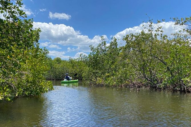 2 Hour Tandem Kayak Tour (Price for 2 People) - Booking and Cancellation Policy
