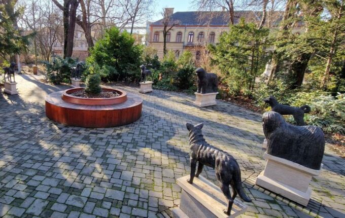 22 Dog-Statues in Budapest - an Unusual Tour - Frequently Asked Questions