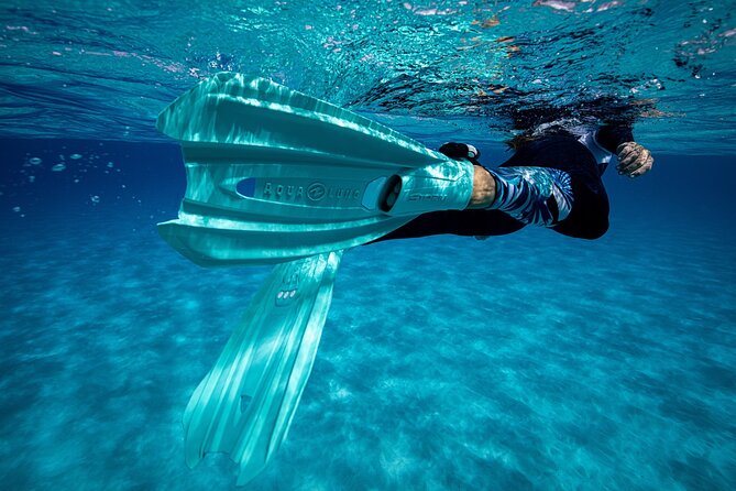 24H Snorkel Rental Equipment, Discover Tenerife on Your Own! - Exploring Tenerifes Underwater World