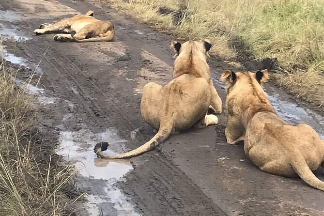 25 Day Uganda Rwanda Kenya and Tanzania Safari Zanzibar Inclusive - Traveler Reviews and Ratings