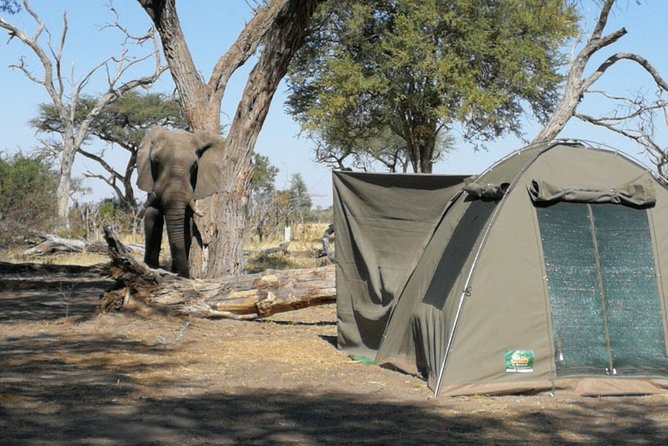 3 Day Desert Trail: Central Kalahari Game Reserve - WildCamping Safari - Health and Accessibility Considerations