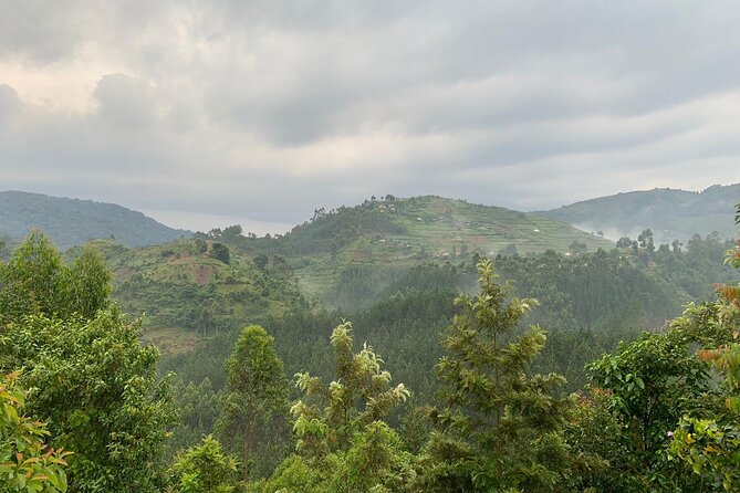 3 Day Gorilla Trekking Luxury Safari in Uganda - Health and Safety Considerations
