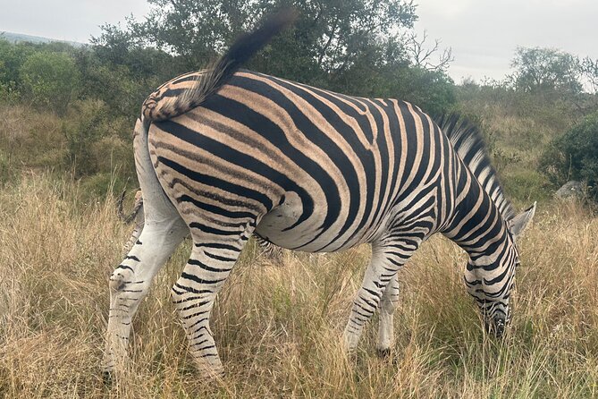 3 Day Kruger National Park End With Panaroma - Booking and Pricing Details