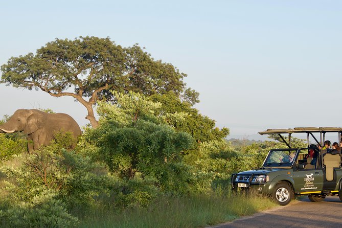 3-Day Kruger National Park Safari Including Breakfast and Dinner - Packing Recommendations for the Trip