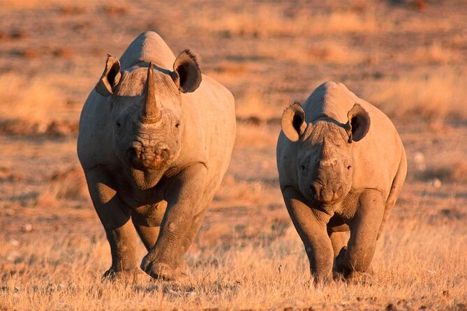 3-Day Masai Mara Group Safari With Pick up - Booking Process