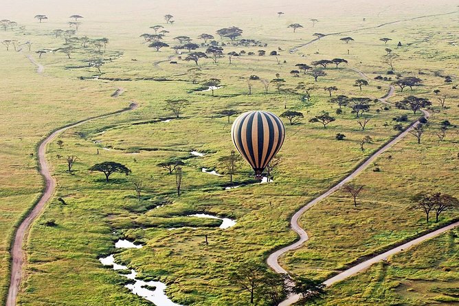 3-Day Masai Mara National Park Superior Tour - Guest Reviews and Ratings