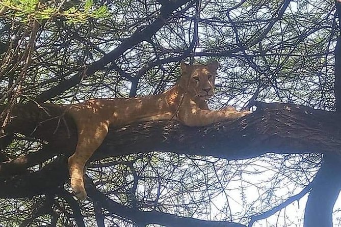 3-Day Safari to Ngorongoro, Tarangire & Lake Manyara NP - Booking and Cancellation Policy
