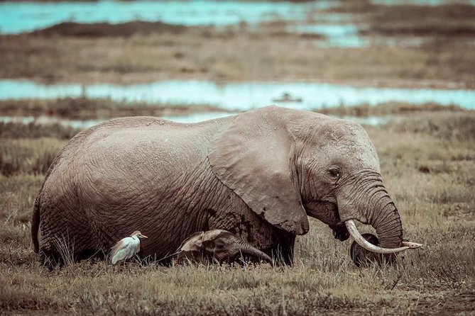 3-Day Samburu Luxury Safari - Packing and Preparation Tips