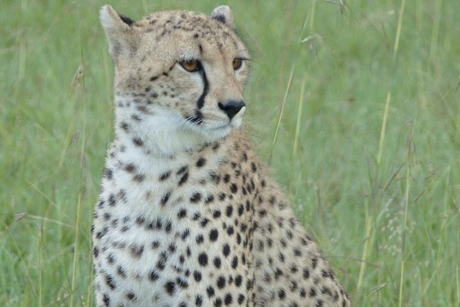 3 Day - Tarangire, Ngorongoro Crater Lake Manyara- Mid - Range - Pricing Information