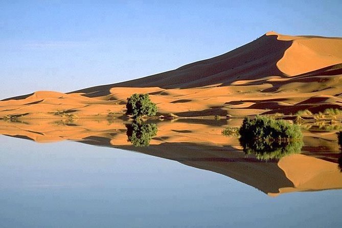 3 Days 2 Nights Adventure From Marrakech to Fez via Desert - Camel Ride in Erg Chebbi Dunes