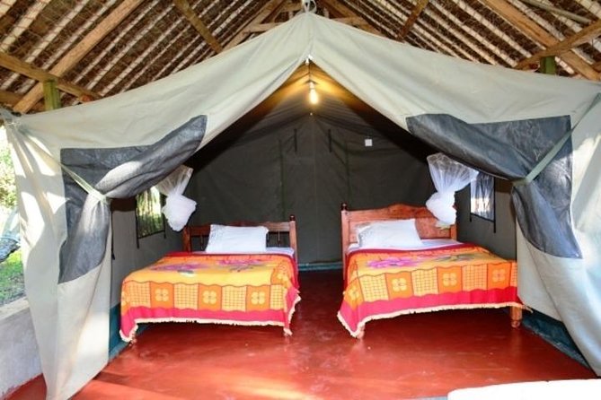 3 Days 2 Nights Budget Group Safari to Maasai Mara National Reserve - Traveler Feedback