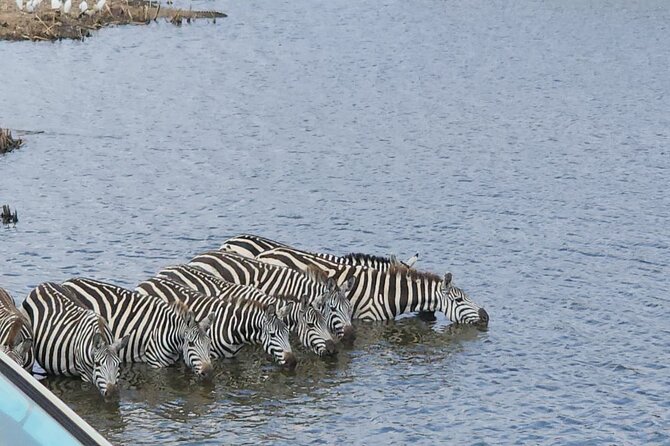 3 Days - 2 Nights Maasai Mara From Nairobi - Frequently Asked Questions