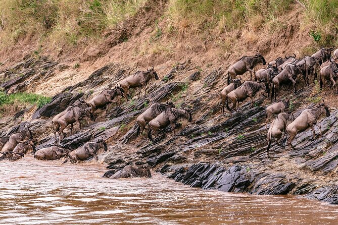 3 Days 2 Nights Maasai Mara Group Tour With 4x4 Jeep - Frequently Asked Questions