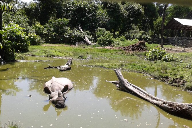 3 Days and 2 Nights Chitwan National Park Safari Tour in Pokhara - Cancellation Policy