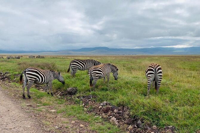 3 Days Lake Manyara, Tarangire, Ngorongoro Crater Group (Camping) - Traveler Information