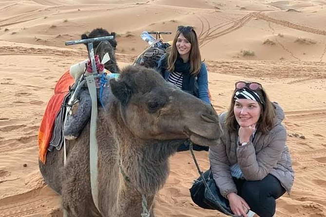 3 Days Luxury Private Desert Tour From Fez to Marrakech - Customer Reviews and Feedback