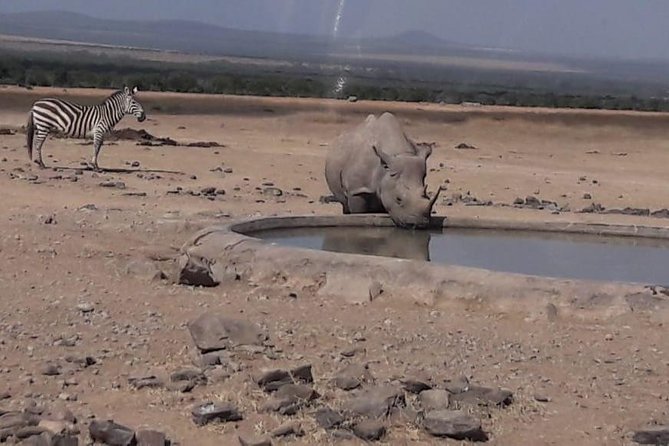 3 Days Masai Mara Experience - Pricing Information