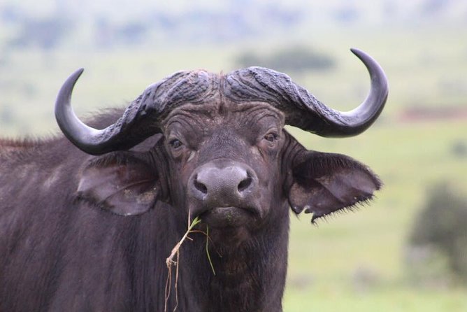 3 Days Murchison Falls Holiday Safari - Daily Safari Itinerary