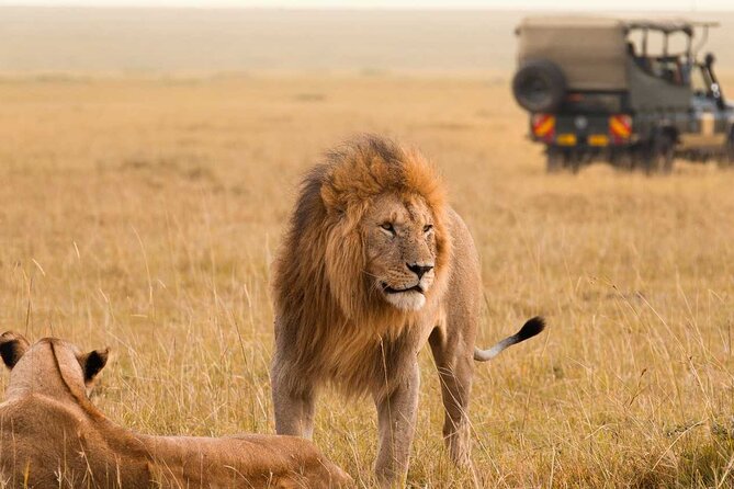 3 Days Private Tour in Maasai Mara - Booking Confirmation and Participation
