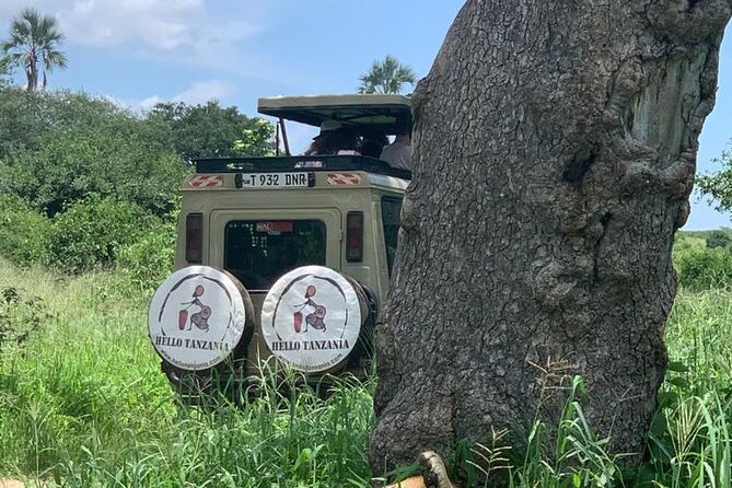 3 Days Safari in North- Ngorongoro, Tarangire, Mt. Oldeani - Pricing and Reviews