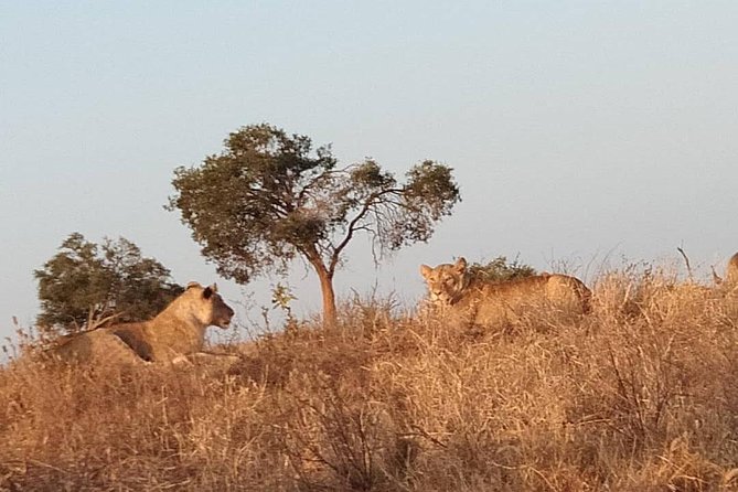 3 Days Safari Tsavo East and West - Customer Reviews