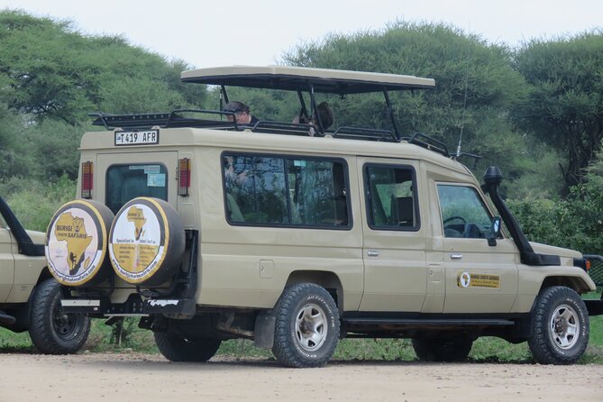 3 Days Tanzania Group Join Safari - Serengeti & Ngorongoro Crater - Destination Highlights
