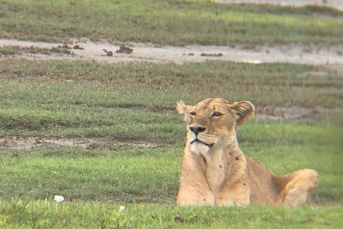 3 Days Tanzania Safari - Booking Confirmation