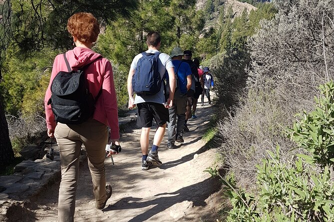 3-Hour Hiking Experience in Roque Nublo - Knowledgeable and Friendly Guides