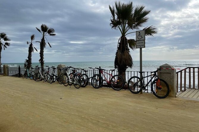 3-Hour Private Guided Bicycle Tour in Marbella - Exploring Marbella by Bike