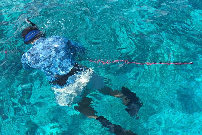 3 Hour Private Snorkeling in Marathon Florida - Customer Reviews