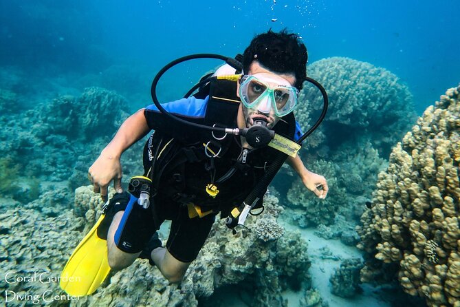 3-Hour Shore Dive or Snorkel Experiences in Aqaba - Transportation Options