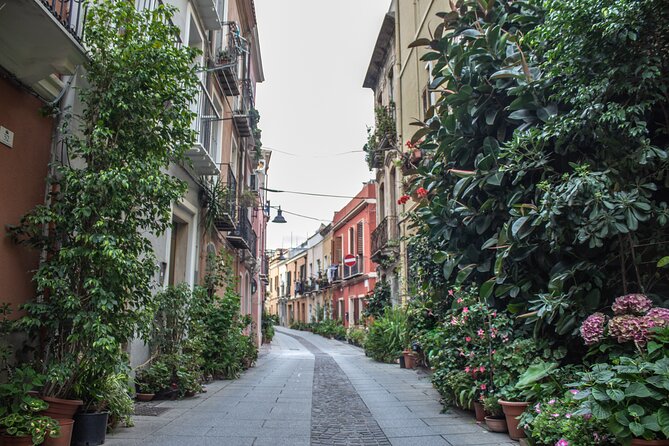 3 Hours Guided Tour of the Historic Districts of Cagliari - Discovering Sardinias Cultural Treasures