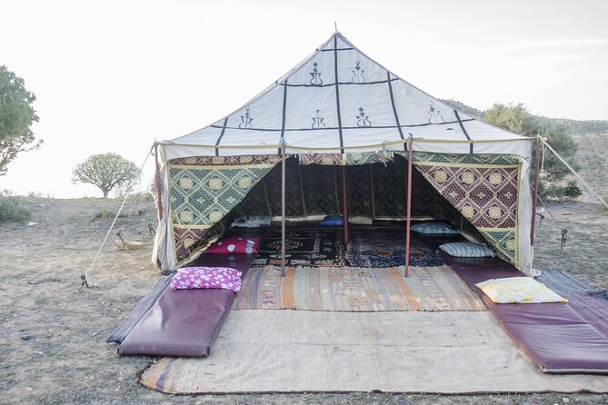 3 Hours Horse Riding With Dinner and Overnight Berber Camp - Tips for Your Adventure