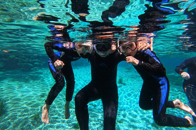 3 Hours Manatee Swim Tour in Florida - Best Time to Book