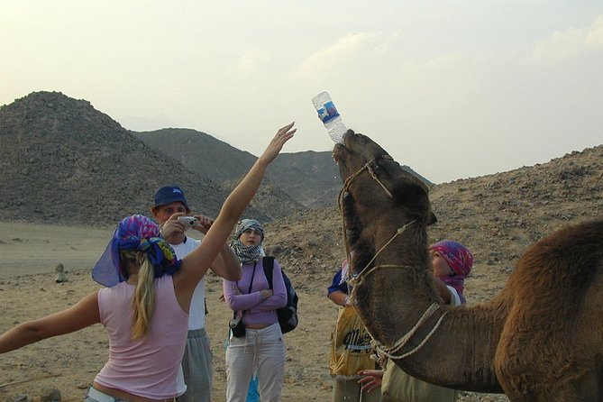3 Hours Mini Super Safari - Cancellation Policy