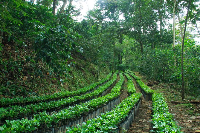 3 Levels of Huatulco HT - Sustainable Tourism and Community Support