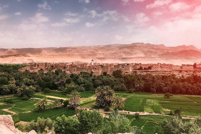 4 Day Desert Tour From Fez to Marrakech Through Merzouga, Valleys & Ouerzazat - Customer Reviews