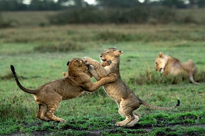 4 Day Group Tour to Maasai Mara and Lake Nakuru by a 4WD Cruiser - Discovering Lake Nakuru