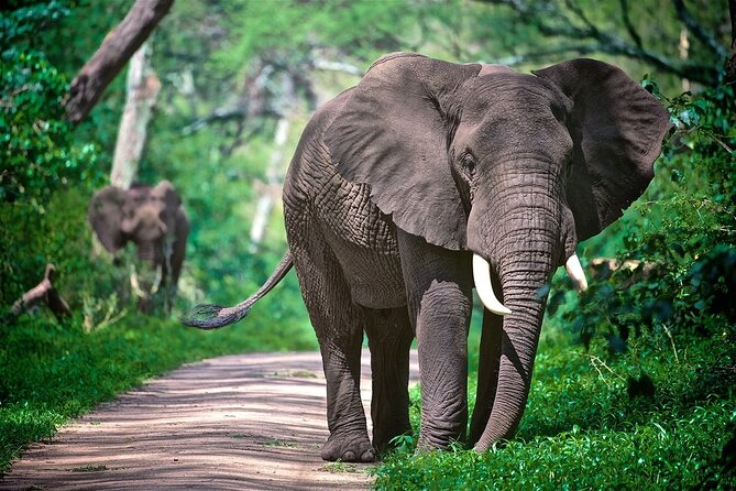 4-Day Manyara Serengeti and Ngorongoro Wonders Budget Safari Tour - Frequently Asked Questions