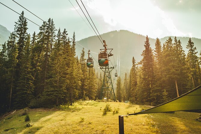 4-Day Rockies Tour | Banff & Columbia Icefield & Lake Louise - Highlights of Banff