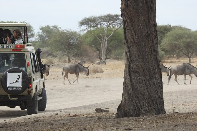 4-Day Tarangire, Serengeti, Ngorongoro Crater - Experiencing Serengeti