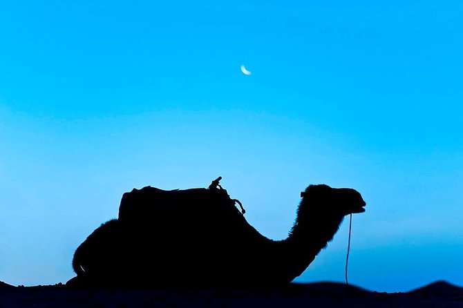 4 Days 3 Nights Tour From Marrakech End up in Marrakech via Merzouga Desert - Booking Information and Pricing