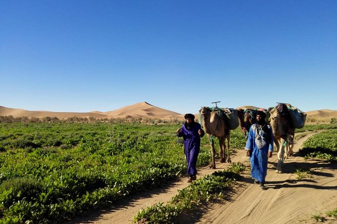 4 Days Hiking To Desert - Day 2: Hiking Through the Dunes