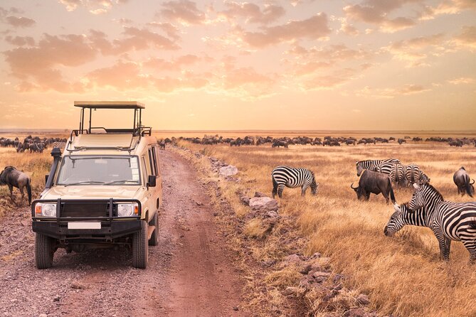 4 Days Private Lodge Safari - Ideal Group Recommendations